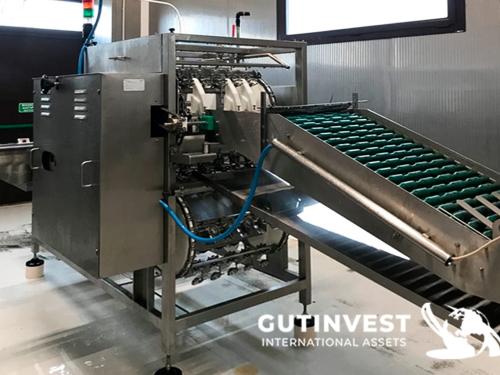 Máquina cascadora de huevos automática