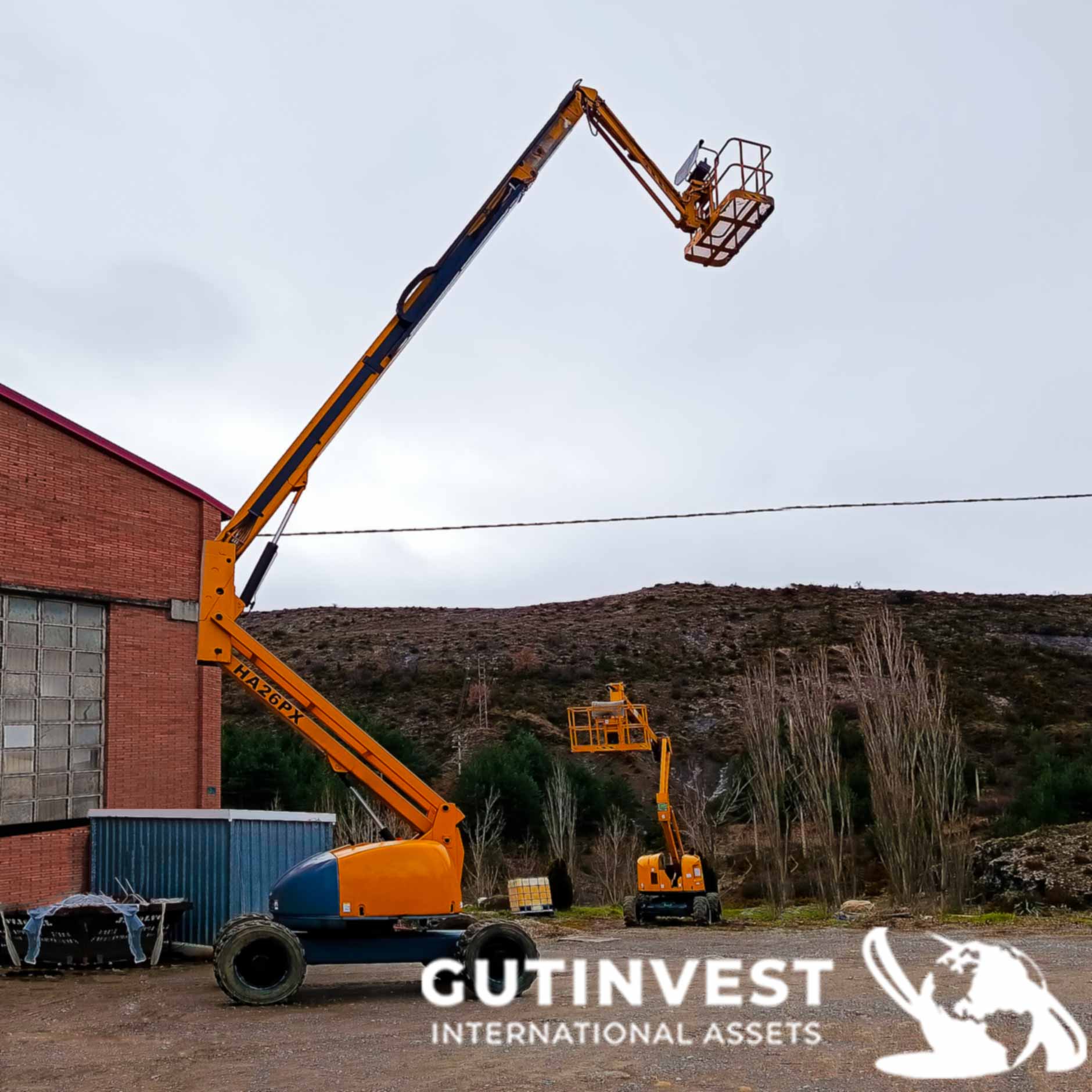 Plataforma articulada diésel