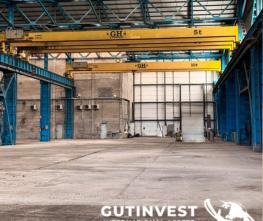 (x6) Puentes grúa birrail "GH" de 5, 10 y 16 Tns.