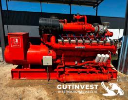 Grupo electrógeno de gas natural –GUASCOR 875 kVA