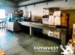 Flow Pack Wrapping machine