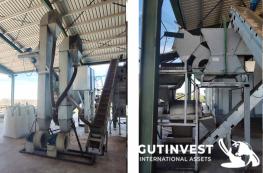 Línea de procesado de pistacho – 1500Kg/hora